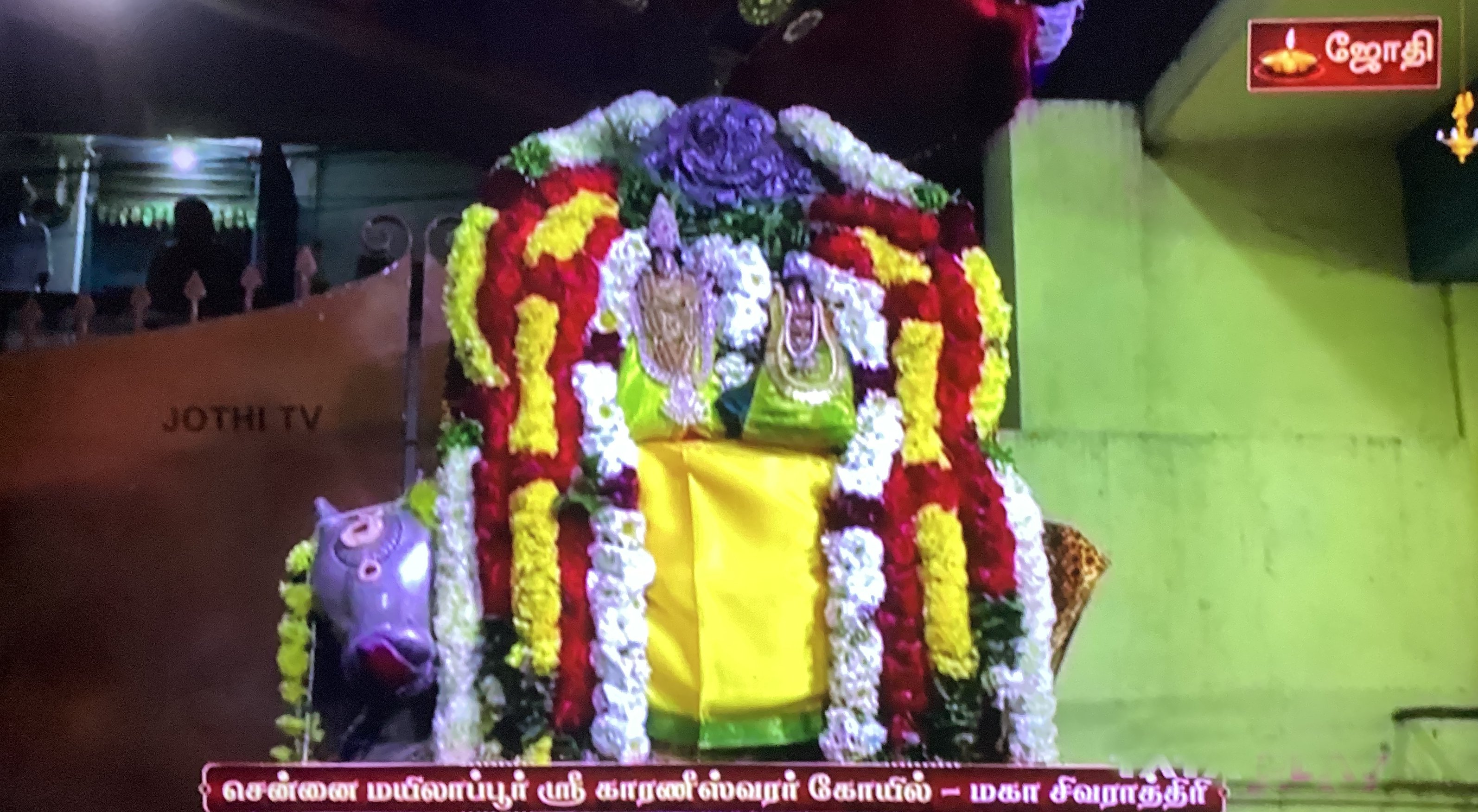 Maha Sivaratri - Chennai Mylapore Karaneeswarar Koil
