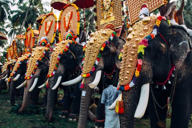 Carnival Festival of Karnataka